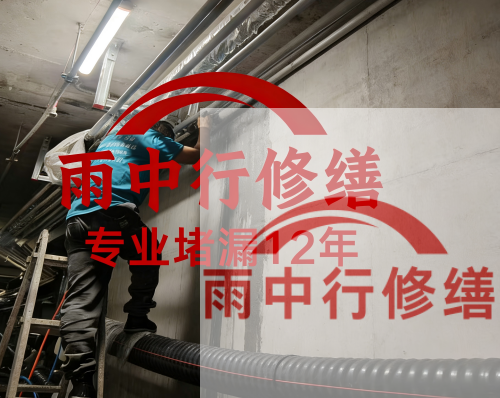 滁州电缆线空洞堵漏加固案例